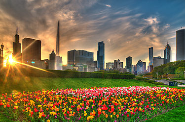 chicago cruises